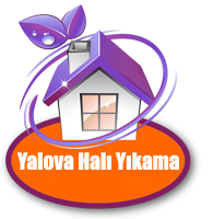Yalova Halı Yıkama